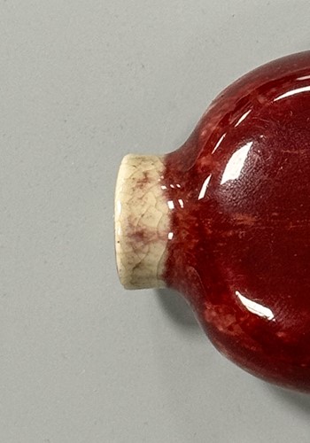 Lot 15 - A group of five Chinese glass and porcelain snuff bottles, 19th/20th century