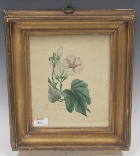 Lot 313 - An early 19th century book plate of a...
