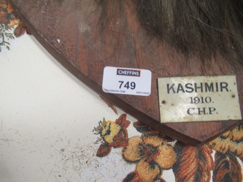 Lot 749 - Markhor or Black Buck taxidermy head mount,...