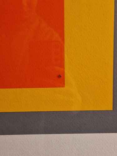 Lot 509 - After Josef Albers (1888-1976)
