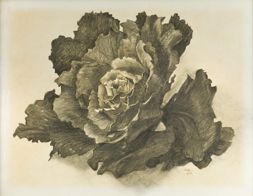 Lot 336 - Nan Youngman OBE (1906-1995)