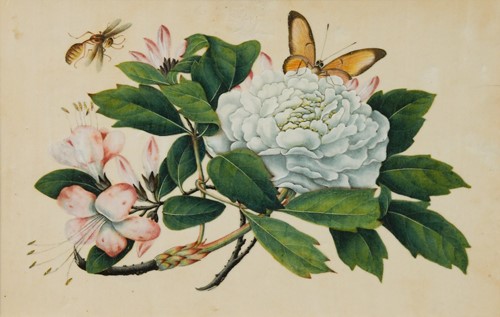 Lot 80 - Chinese Export School (19th century)