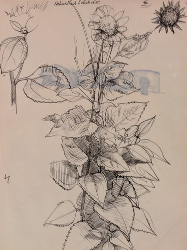 Lot 96 - Charles Mahoney (British, 1903-1968)