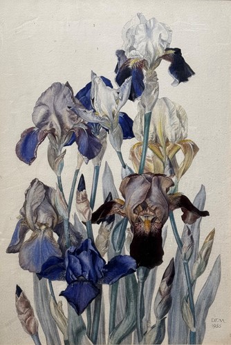 Lot 524 - Dorothea F. Meadle (British 20th Century)
