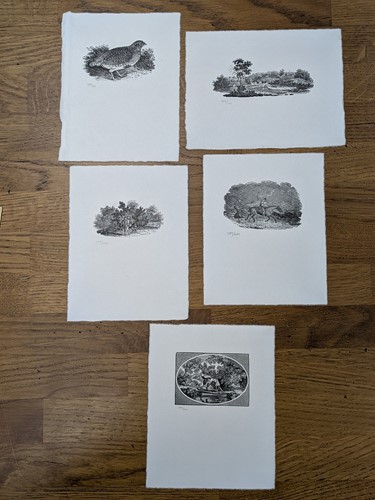 Lot 547 - After Thomas Bewick (British, 1753-1828)
