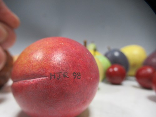 Lot 206 - Painted fruit by Howard Rice; A Victoria Plum,...