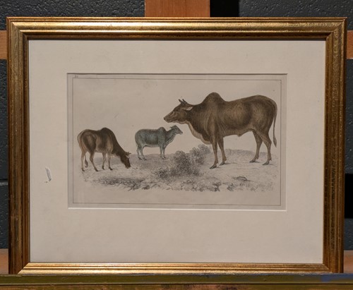 Lot 470 - A Large Collection Of 19th Century Prints