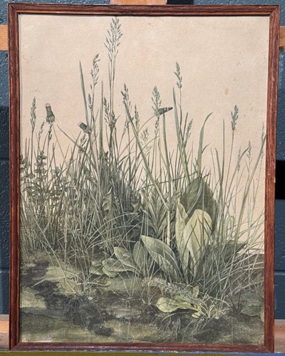 Lot 483 - A Group Of Five Botanical And Insect Related Prints