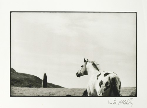 Lot 295 - Linda McCartney (1941-1998), The Stallion and the Standing Stone