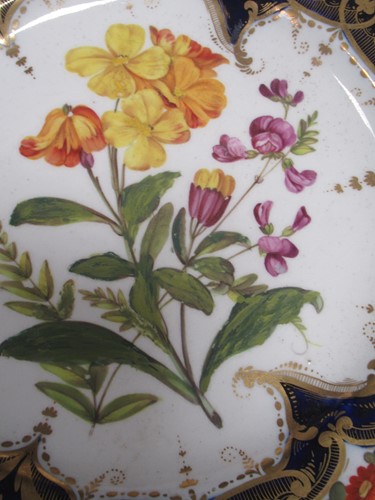 Lot 33 - Two pairs of Derby plates, one - pattern 309,...