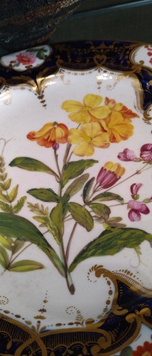 Lot 33 - Two pairs of Derby plates, one - pattern 309,...