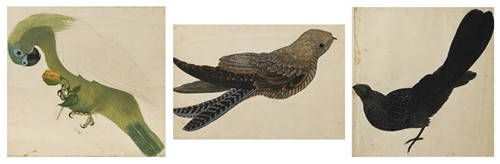 Lot 133 - English School (late 18th century)