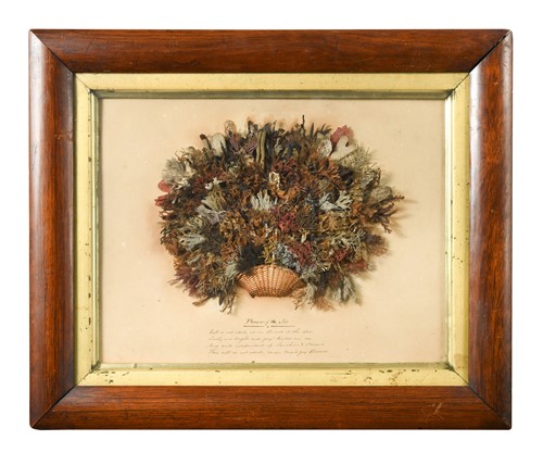 Lot 424 - A Victorian seaweed picture in the form of a basket