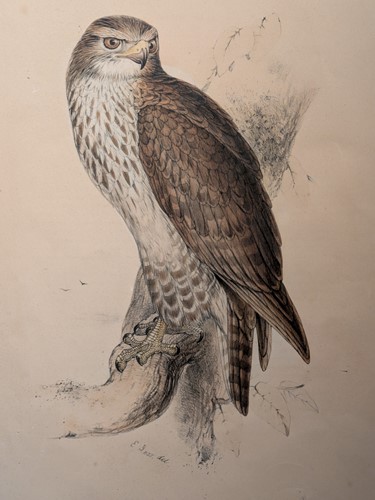 Lot 30 - Edward Lear (British, 1812-1888)