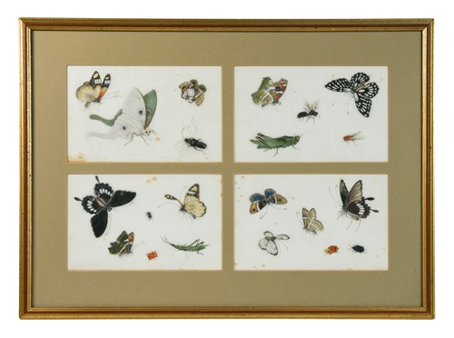 Lot 81 - Chinese Export School (19th century)