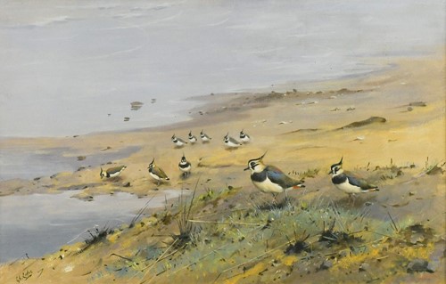 Lot 309 - George Edward Lodge (British, 1860-1954)