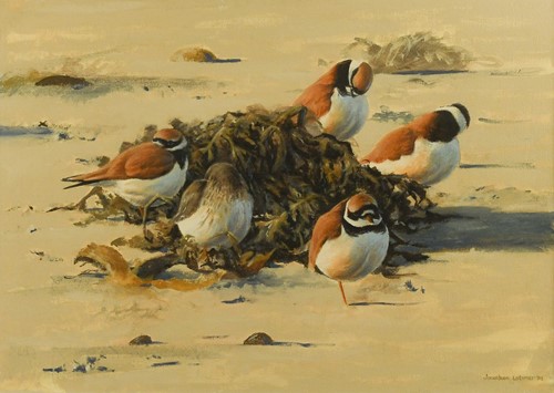 Lot 310 - Jonathan Latimer (British, 20th-21st century)