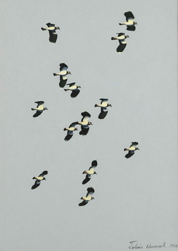 Lot 346 - Julian Novorol (British, b. 1949)