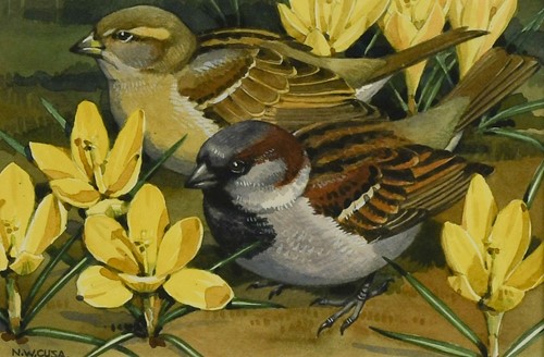Lot 354 - Noel William Cusa (British, 1909-1990)