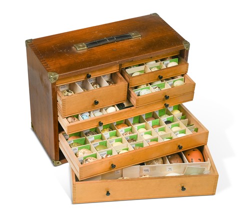 Lot 390 - Peter Rowland (contemporary), a large collection of hand painted replica birds eggs