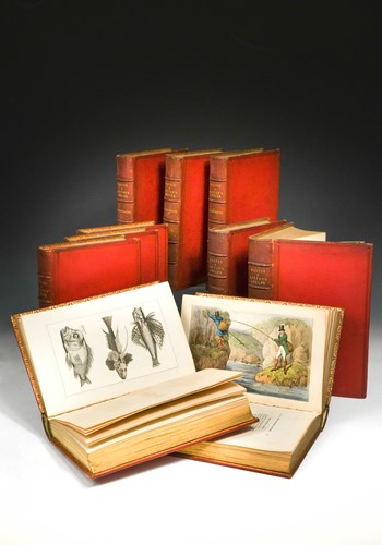 Lot 246 - WALTON & COTTON.