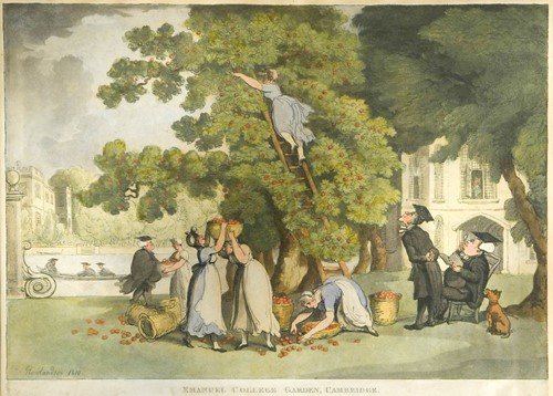 Lot 35 - Thomas Rowlandson (British, 1756-1827)