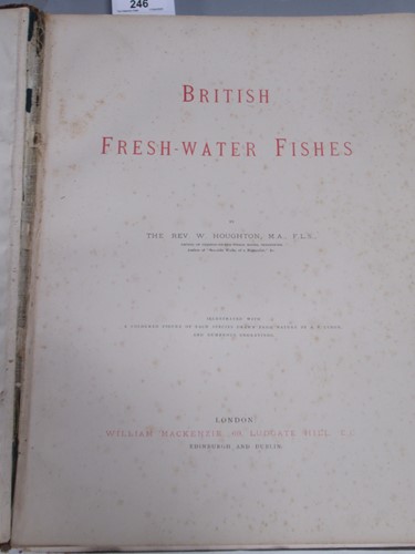 Lot 246 - REV W. HOUGHTON, British fresh-water fishes
