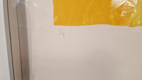 Lot 495 - Charlotte Cornish (1967-)