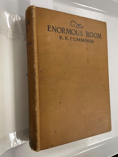 Lot 293 - CUMMINGS (E E)
