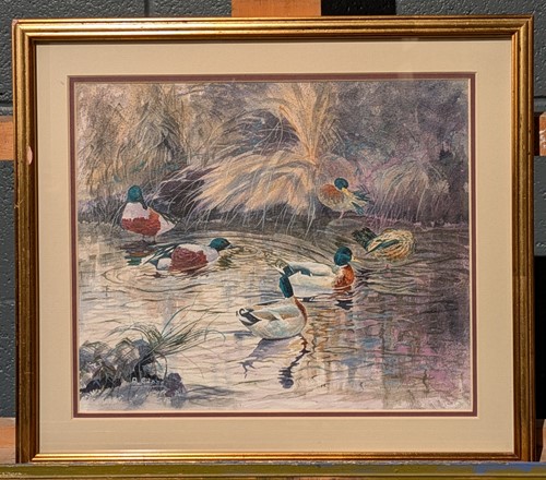 Lot 463 - 20th century, British School, Mallard and Shoveller Ducks