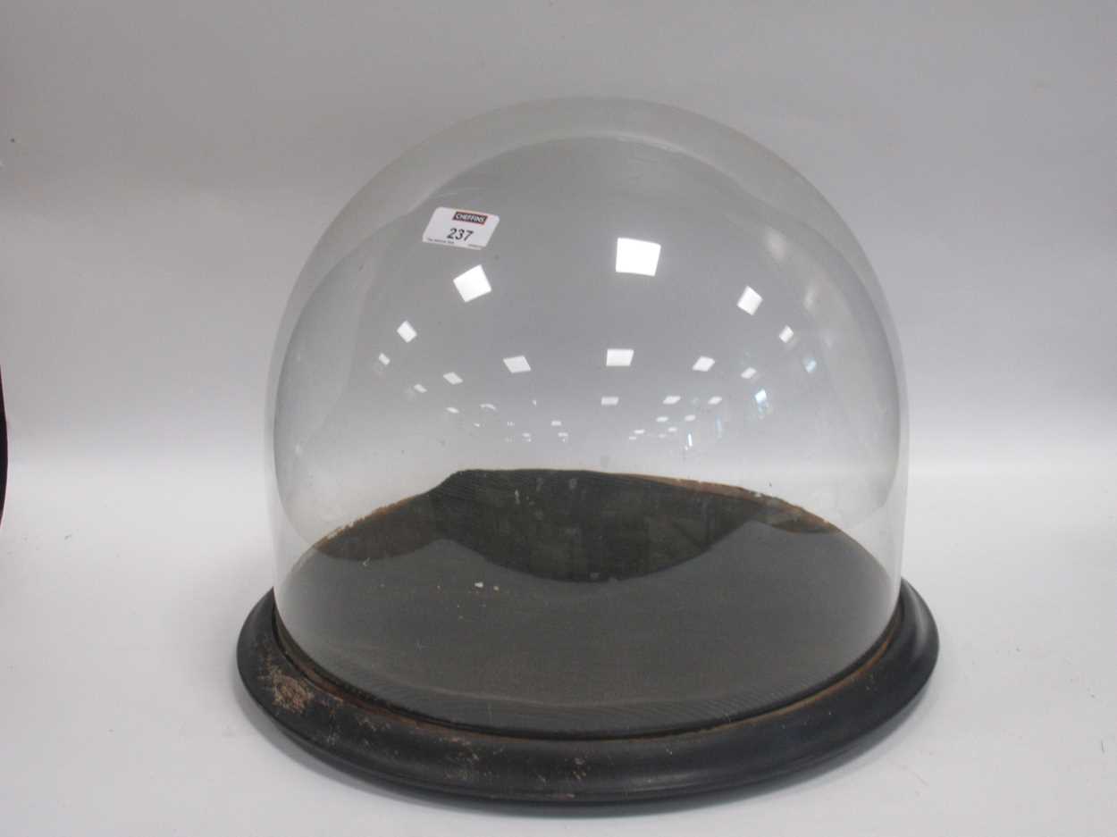 Lot 237 - A Victorian glass dome, with circular ebonised...