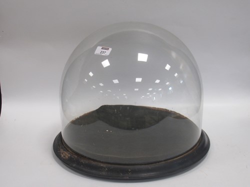 Lot 237 - A Victorian glass dome, with circular ebonised...
