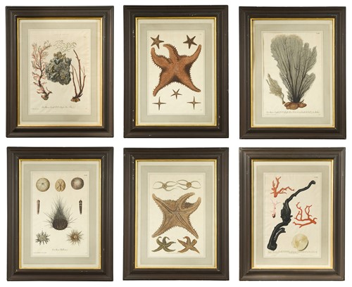 Lot 126 - Continental School, 18th century