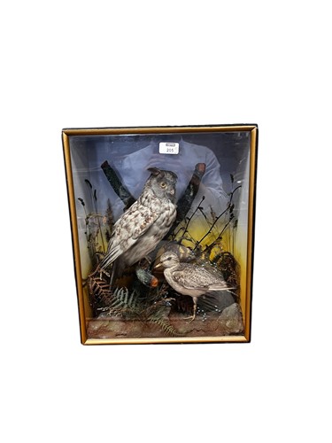 Lot 205 - Taxidermy, early 20th century, two birds...