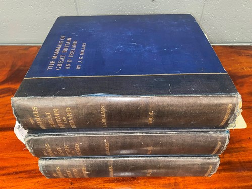 Lot 322 - MILLAIS (J G)