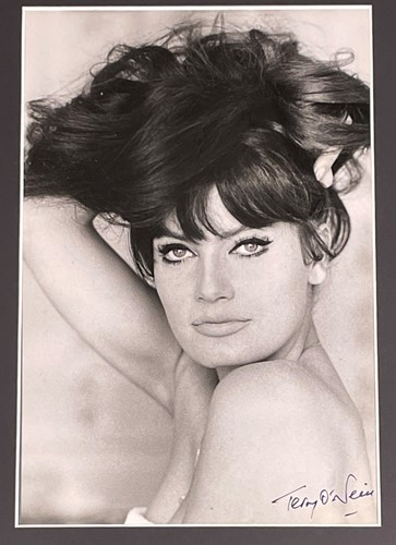 Lot 235 - Terry O'Neill (British, 1938-2019)