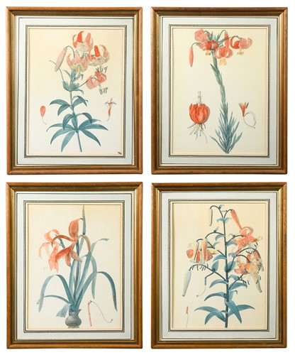 Lot 662 - After Pierre-Joseph Redouté