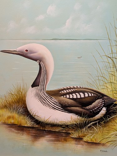 Lot 376 - A Collection Of Three Ornithological Paintings By P Welch (Modern Contemporary)