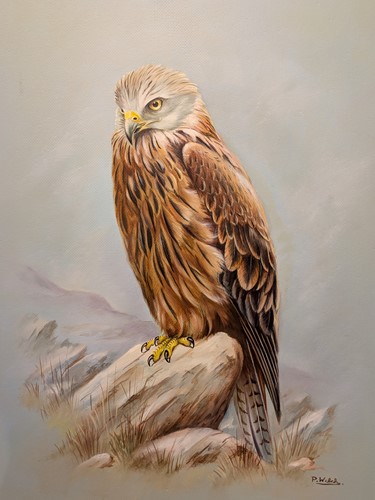Lot 377 - A Collection Of Four Ornithological Oil Paintings By P. Welch (Modern Contemporary)