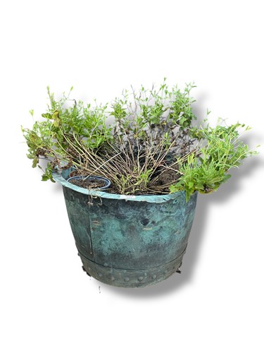Lot 721 - A vert-de-gris riveted copper planter 35 x 50cm
