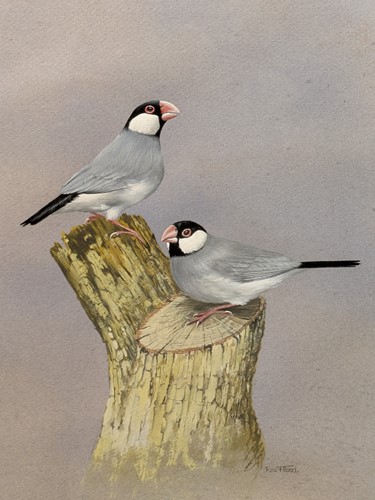 Lot 353 - A Collection of Three Watercolours By Rex Flood (British, 1928-2009)