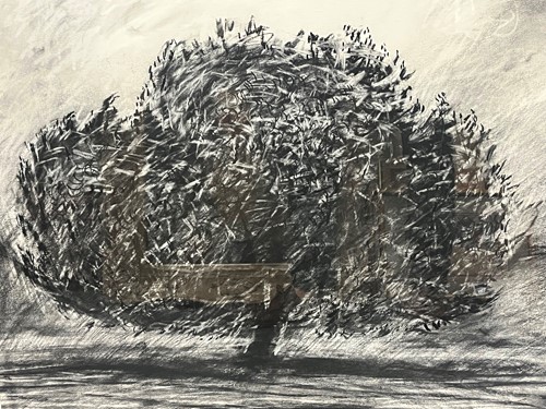 Lot 397 - Richard Hoare Holm oak - dusk - Quercus ilex...