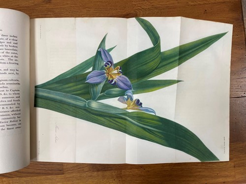 Lot 179 - Transactions of the Horticultural Society of London