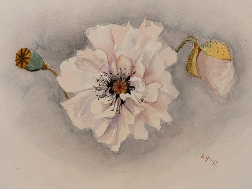 Lot 443 - Nan Youngman OBE (British 1906-1995)