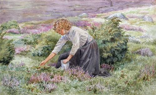 Lot 576 - Edith Crum (British, 19th Century)