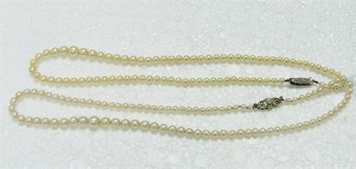 Lot 223 - A single row of 91 graduated cultured...