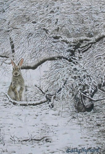 Lot 623 - Sally Hynard (British, 20th Century)