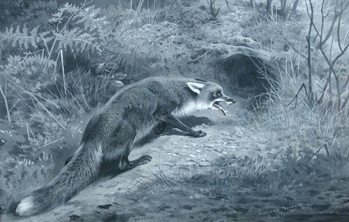 Lot 511 - Archibald Thorburn (Scottish, 1860-1935)