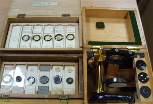 Lot 596 - An early 20th century W Watson dissecting microscope and about 200 slides