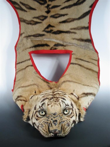 Lot 525 - A Drum Major's Tiger skin robe